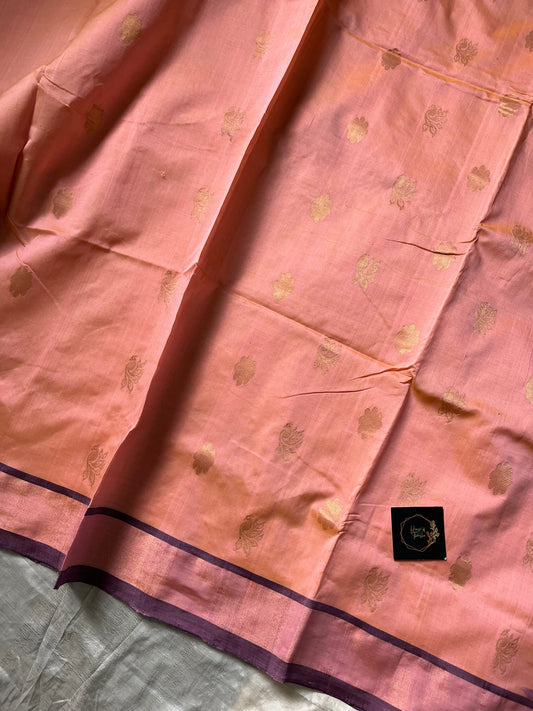 Rose Ivory Kanchi Silk Cotton Saree with coffee brown border and running blouse