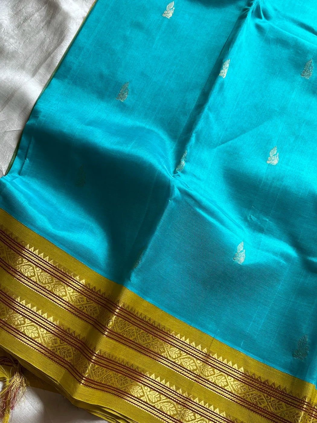 Kanchivaram Korvai Silk Cotton Saree - Sky Blue