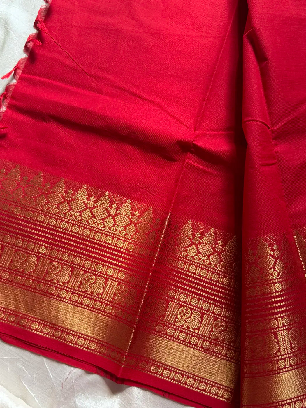 Red Kanchi cotton saree
