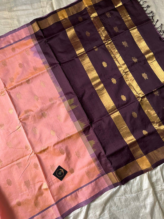 Rose Ivory Kanchi Silk Cotton Saree with coffee brown border and running blouse