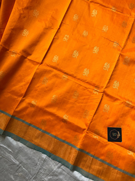 Mango Yellow Kanchi Silk Cotton Saree with blue border and running blouse