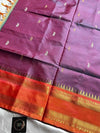 Handwoven vegan silk Chinnalampattu saree with rich zari borders from House of Thansha