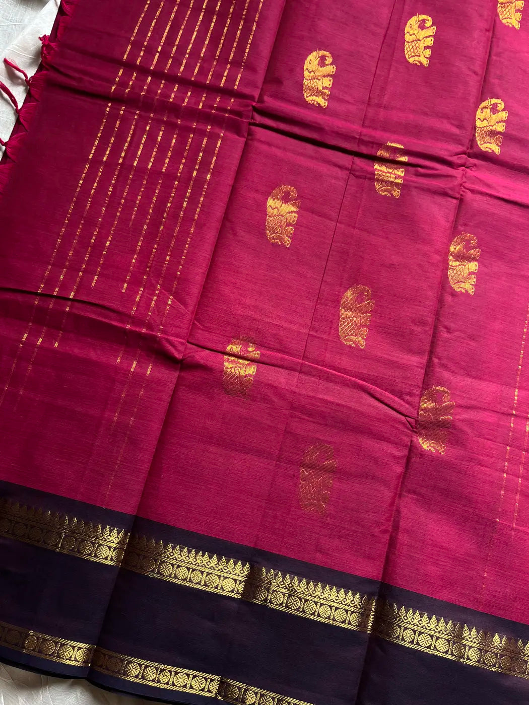 Royal Drapes | Pink & Blue Kanchi Cotton Saree