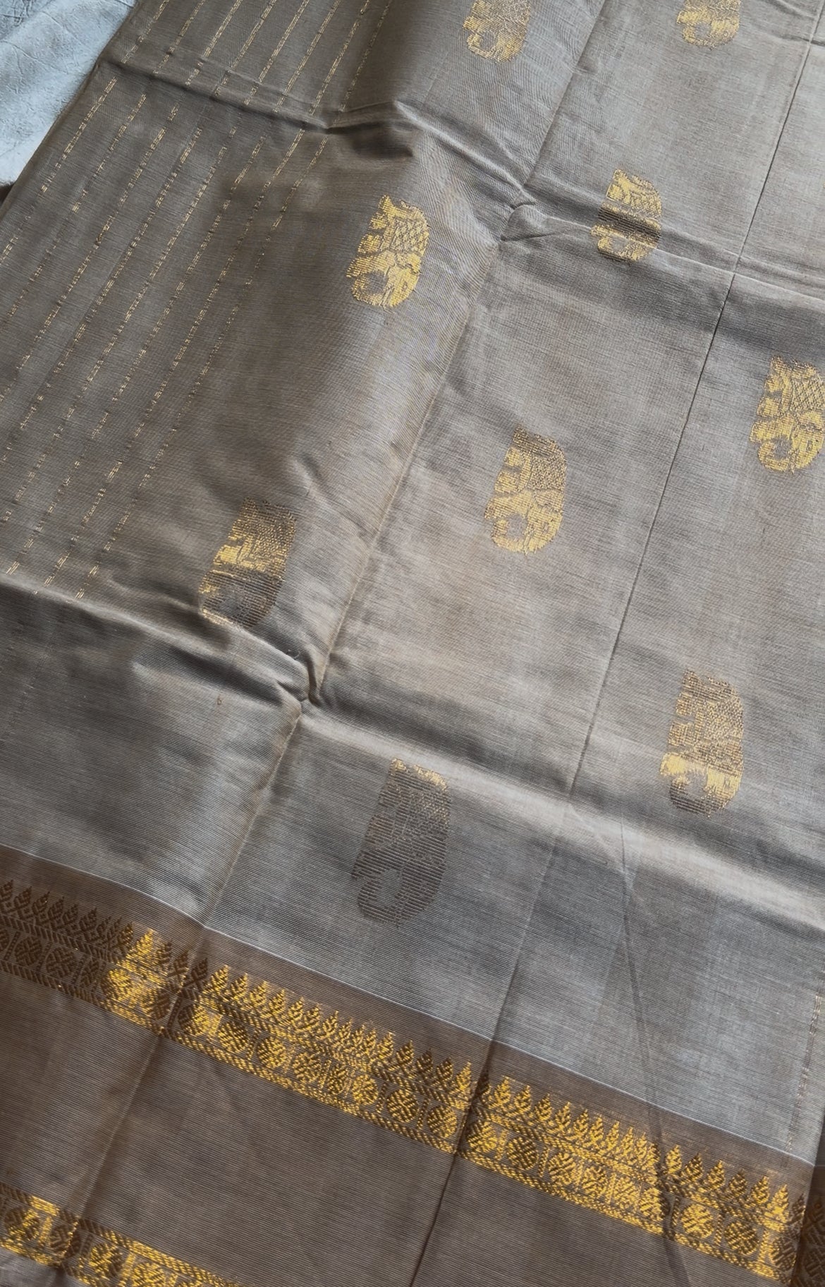 Royal Drapes | Beige Kanchi Cotton Saree